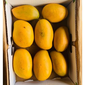 Fresh Mallika mangoes box 3kg