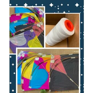 42 Inch Assorted Design Kite with 500mt Thread