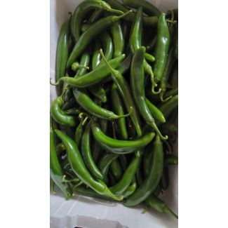 Fresh long green chilli 500g