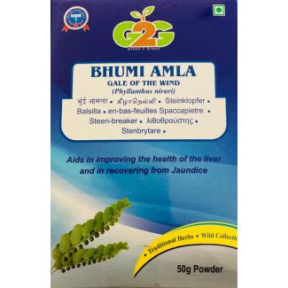G2G Bhumi Amla Powder 50g