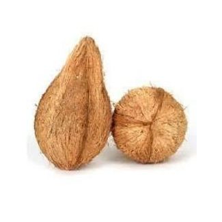 Fresh Coconut for Pooja