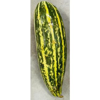 Fresh Indian melon (Dosakayya) ~(800g-1kg)