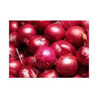 Fresh Red Onions Bag (NEW SEASON) - 10kg