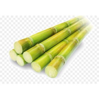 Sugarcane 1Piece