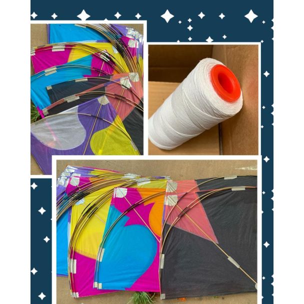 42 Inch Assorted Design Kite with 500mt Thread