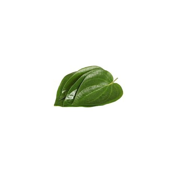Fresh betel leaves 8-10