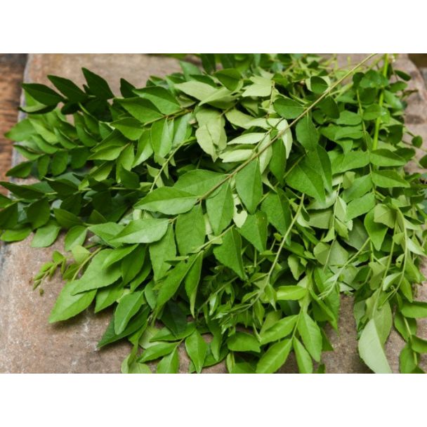 Fresh Curry Leaves 50g