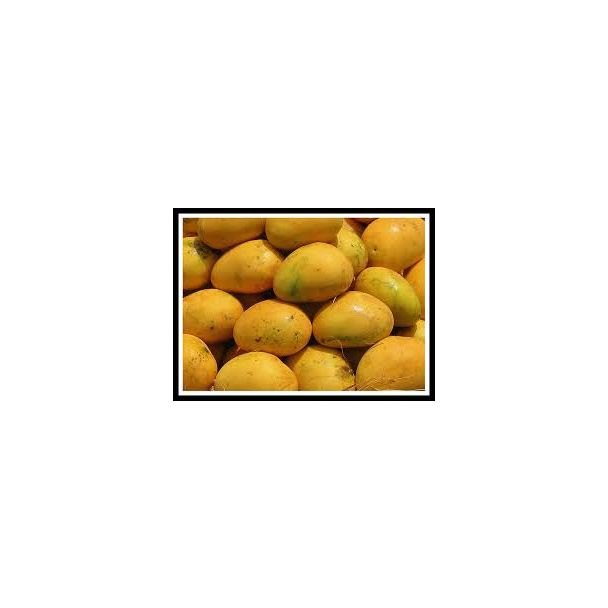 Fresh Banginapalli Mangoes BOX~3.7kg