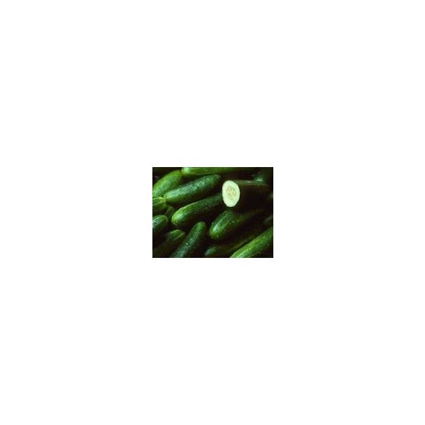 Fresh Cucumber ~(400-500)gm