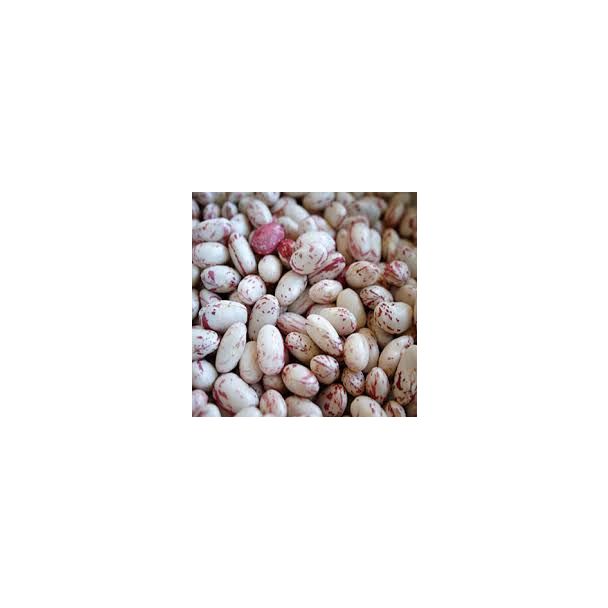 Katoomba Borlotti Beans (Cranberry) 1Kg