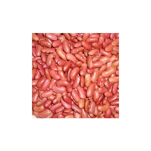 Pattu Light Red Kidney Beans 5kg